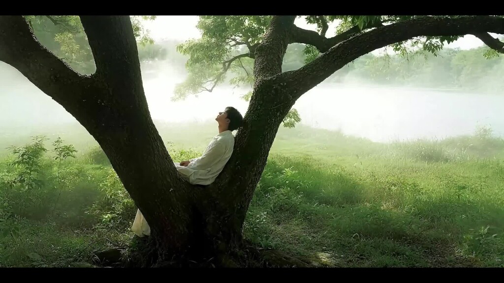 d7b15144e04e234320829554e31883ff.mp4