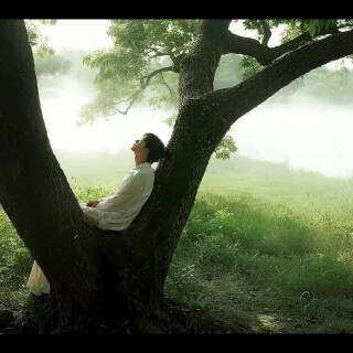 d7b15144e04e234320829554e31883ff