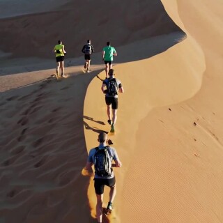 23c0ffe7b807d31dba6f536cc50692f6