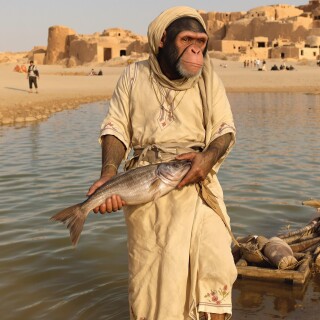 d511bf335a21a5e1fd37301f9f68ac7a