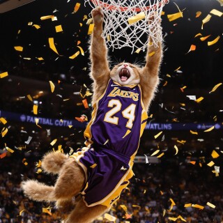 ea75a801474b8cb4e5df936192661120