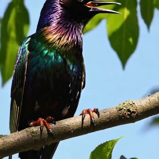 37bbf1654e2c30a8eb625763835aa18d