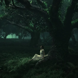 d57ff4e6fdeae57cda4caf9412acab18