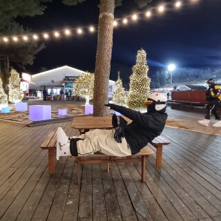 20d585d1268c5bd01549a9596aaddd25