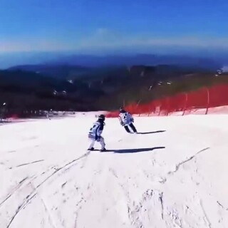 f1225e61ca3716c4667d230c432503dd